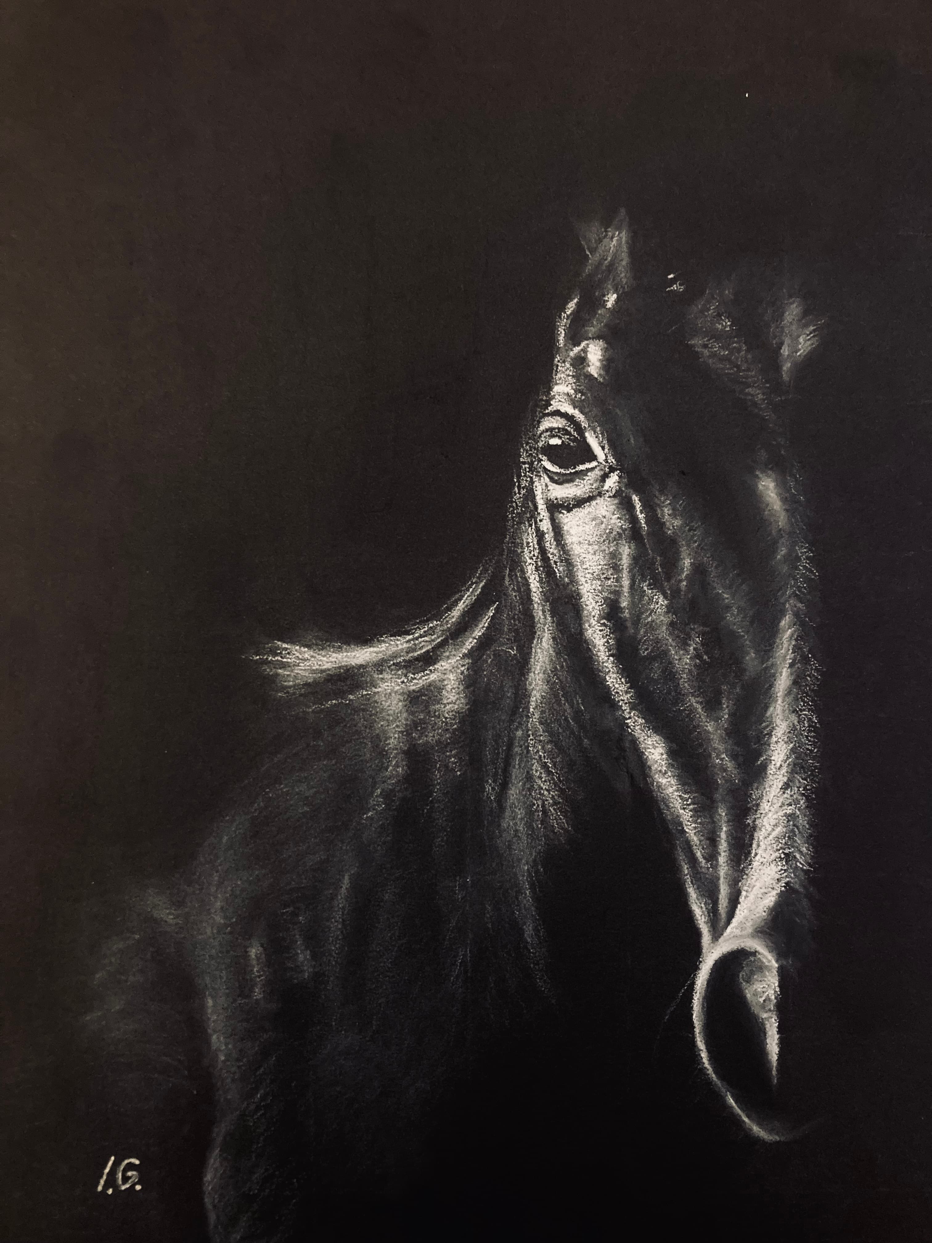 Black Horse — Pastel, Irina Gîndea